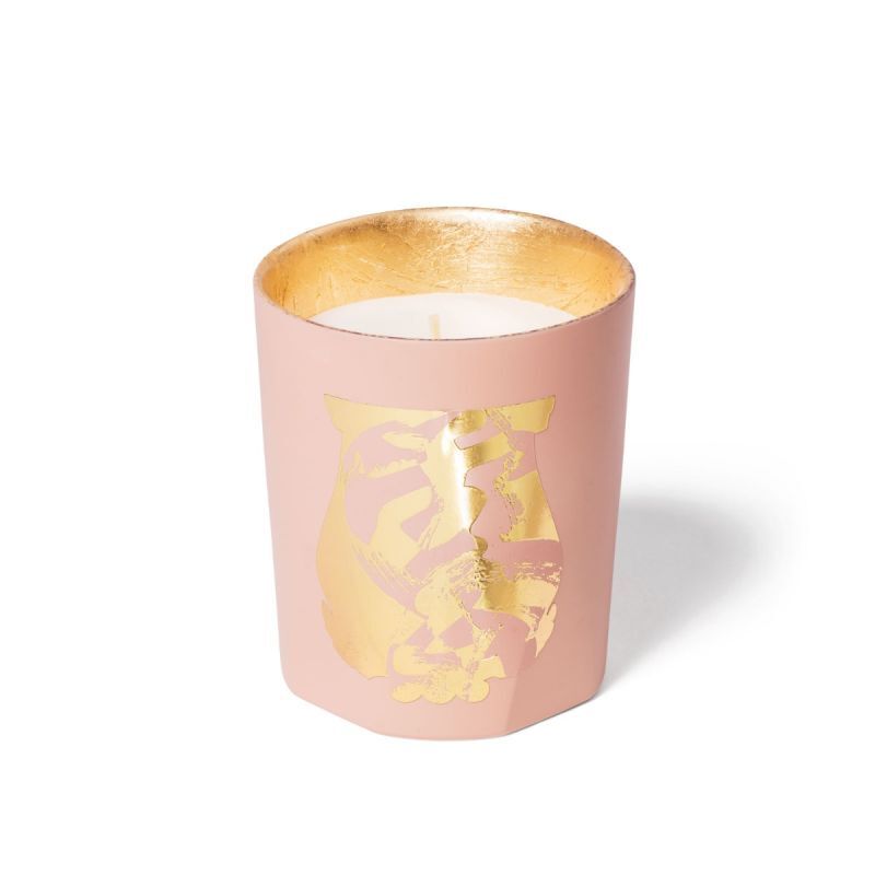 Cire online Trudon Salta Pink Grapefruit Scented Candle (270g)